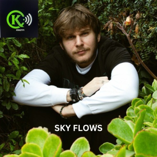 Sky Flows: The Journey of an Indie Music Artist